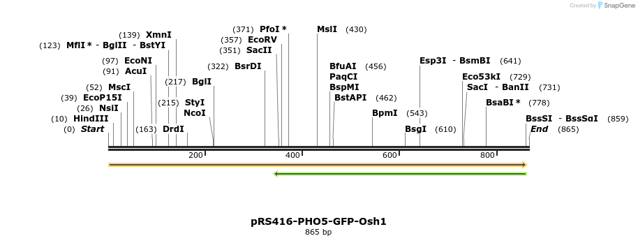 94313_map