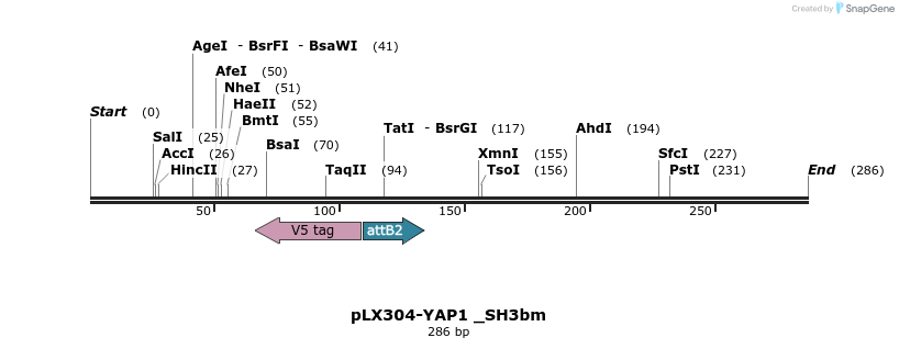94317_map