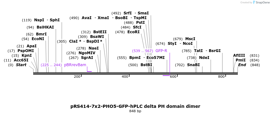 94319_map