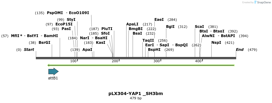 94320_map