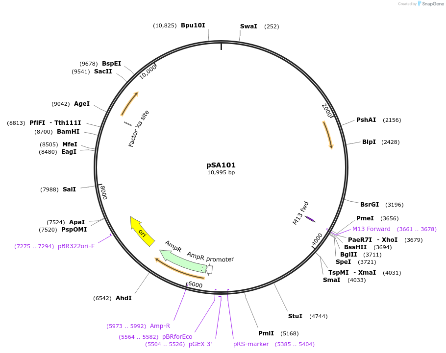 94323_map