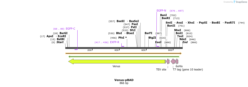 94325_map