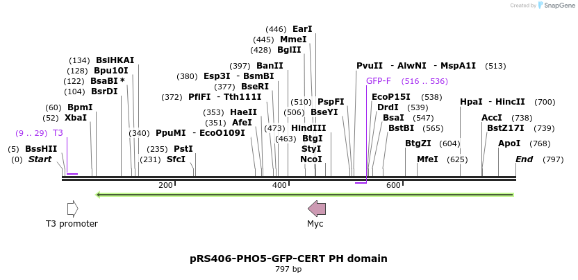 94326_map