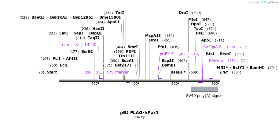94328_map