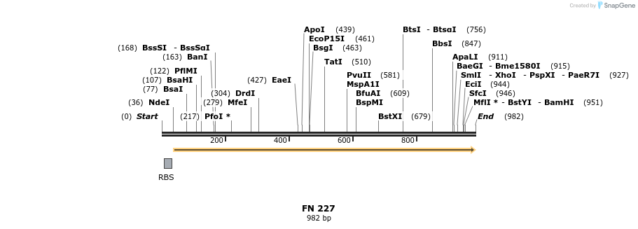 94329_map