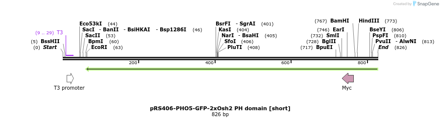 94330_map