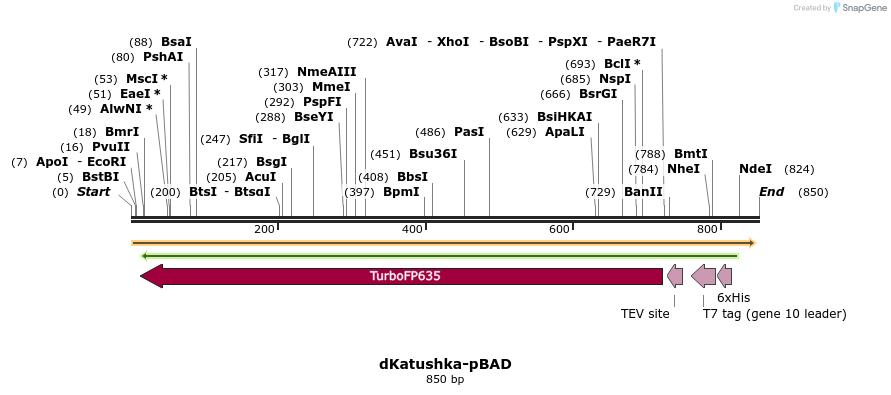 94335_map