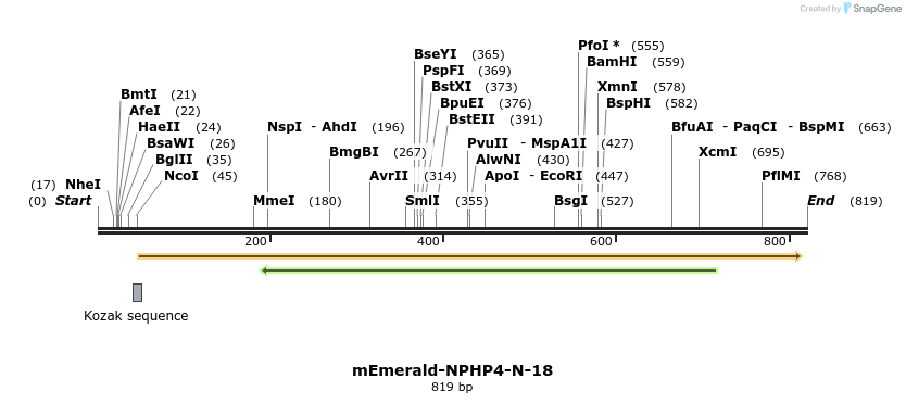 94336_map