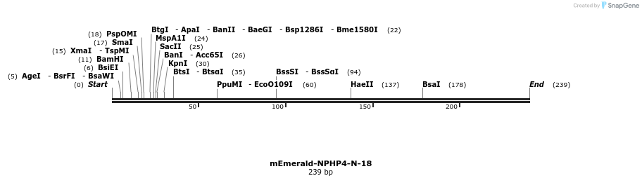 94337_map