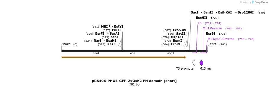 94338_map