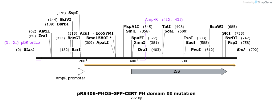 94342_map