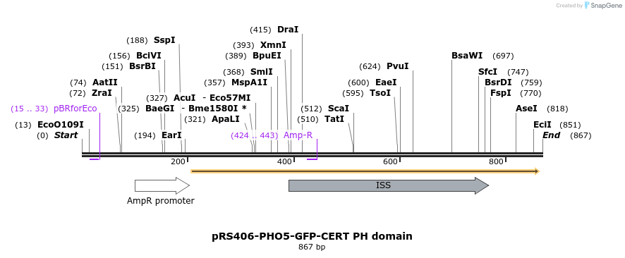 94345_map
