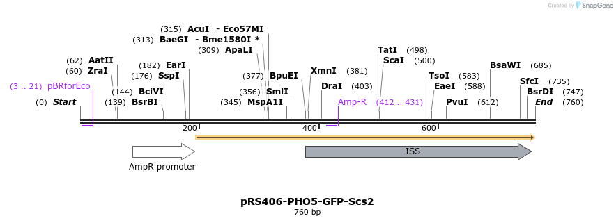 94347_map