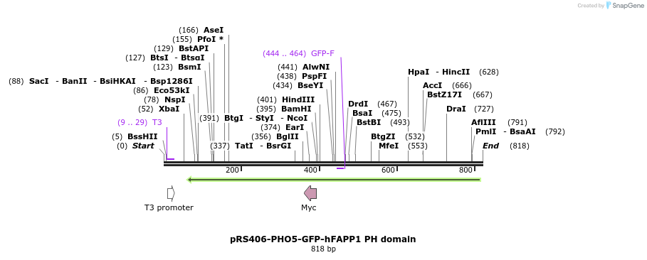 94349_map