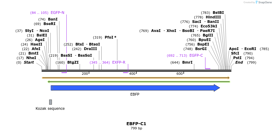 94350_map