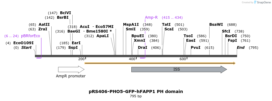 94352_map