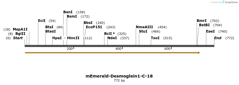 94354_map