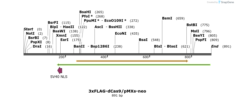 94356_map
