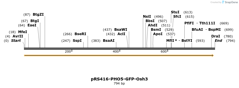 94359_map