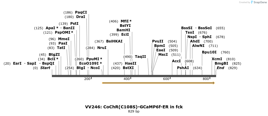 94360_map