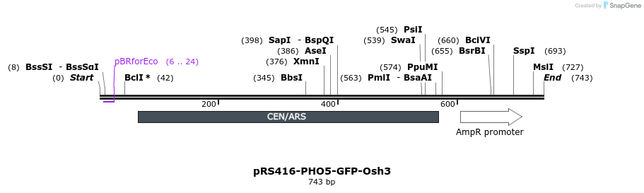 94363_map