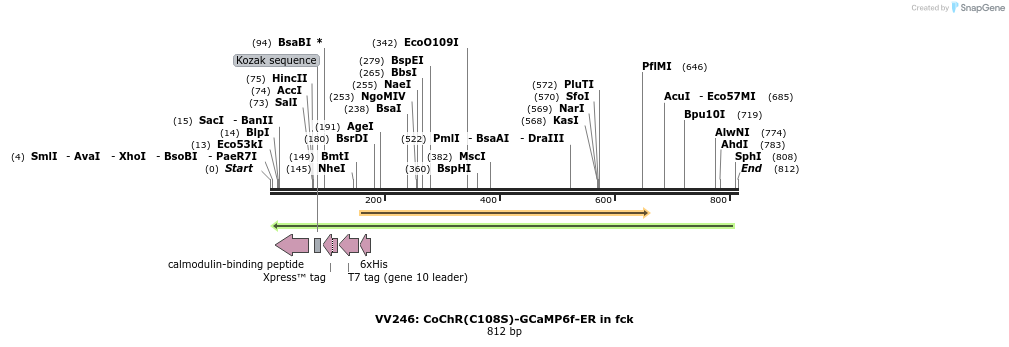 94364_map