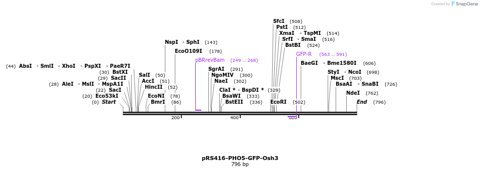94365_map