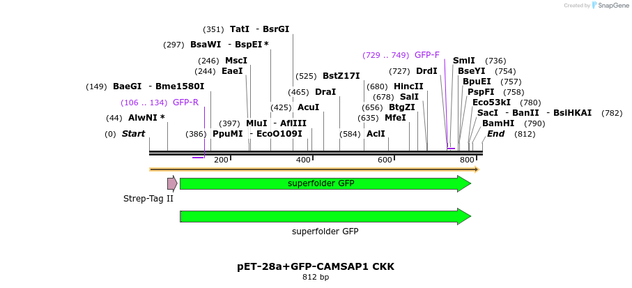 94366_map