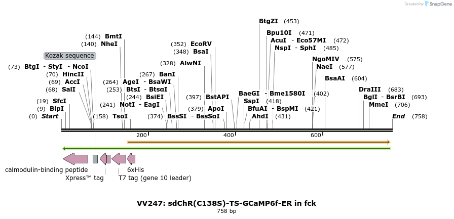 94367_map