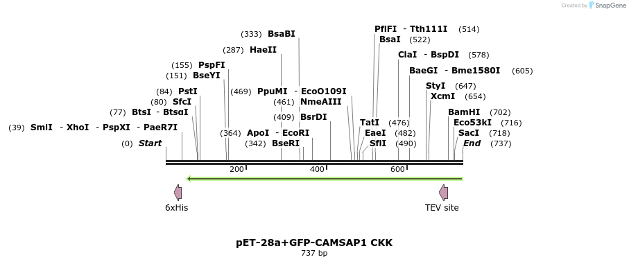 94370_map