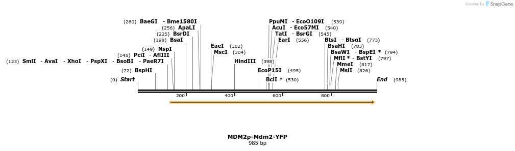 94371_map