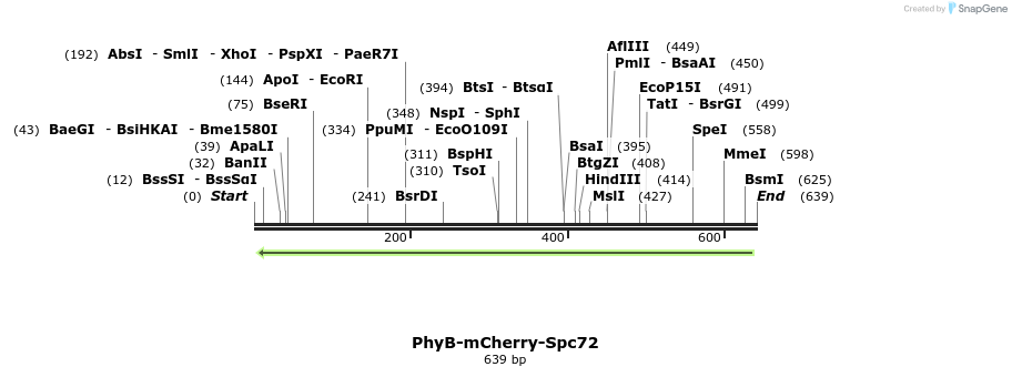 94374_map