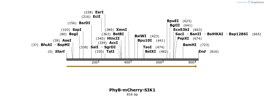 94381_map