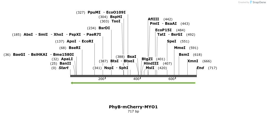 94390_map