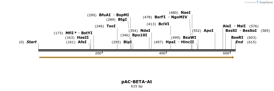 94397_map