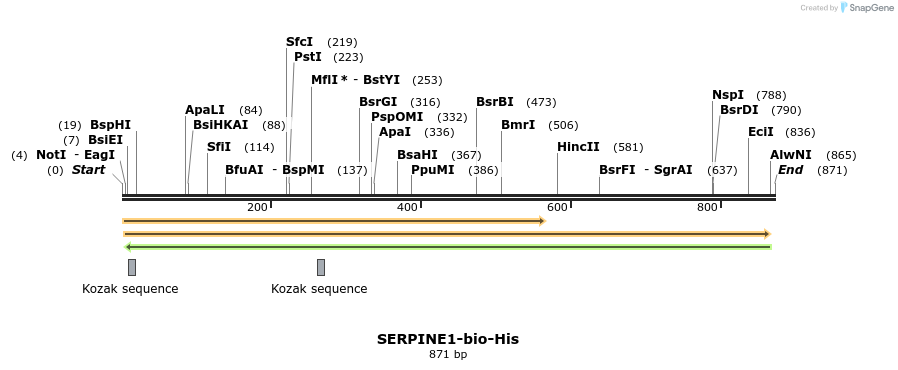 94399_map
