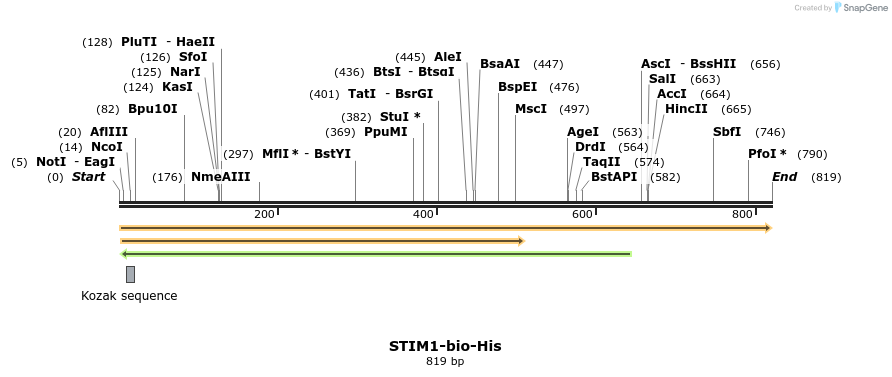 94404_map