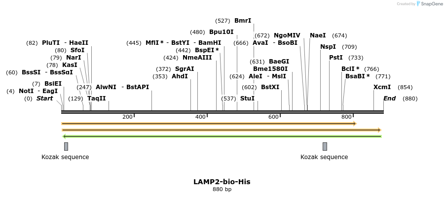 94406_map