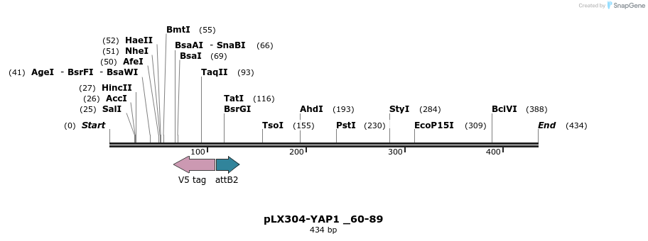 94407_map