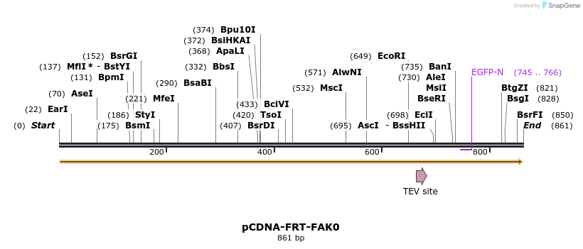 94411_map