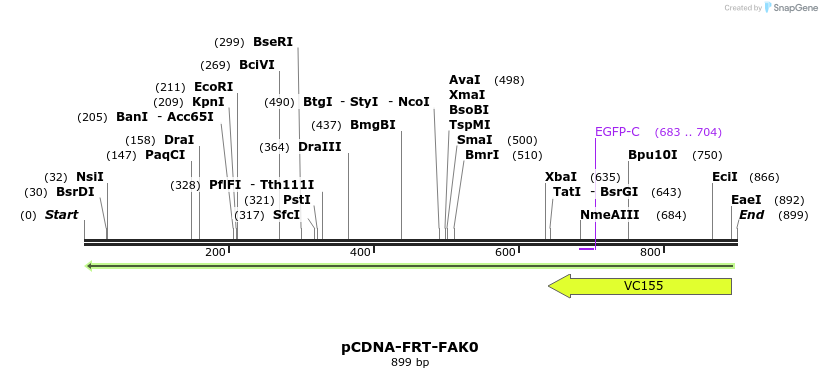 94413_map