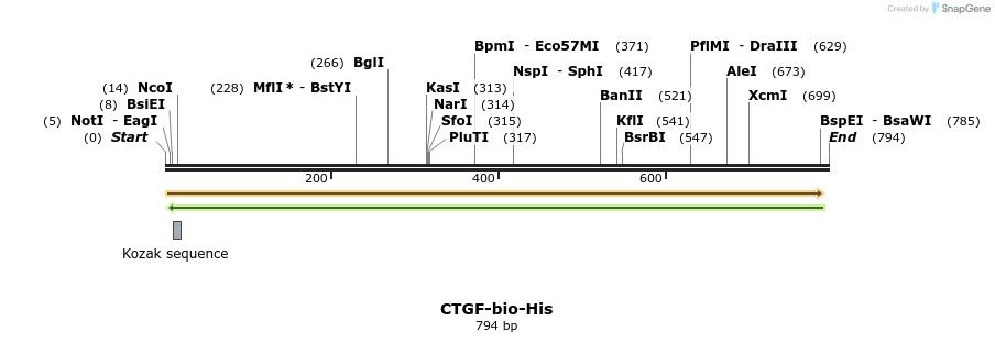94416_map