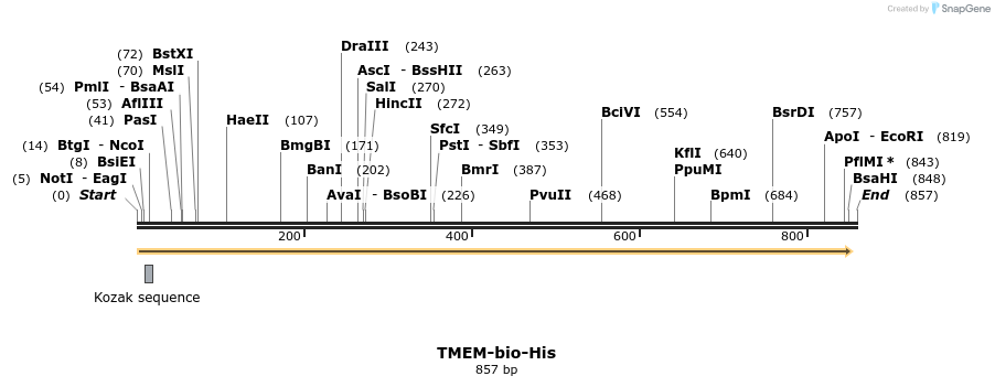 94418_map