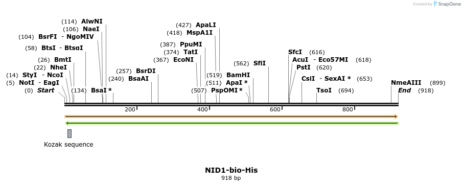94419_map