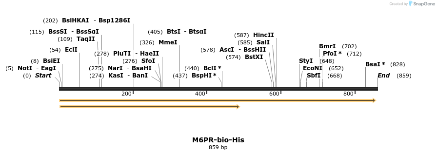 94420_map