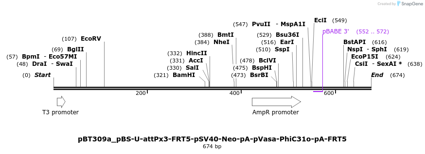94422_map
