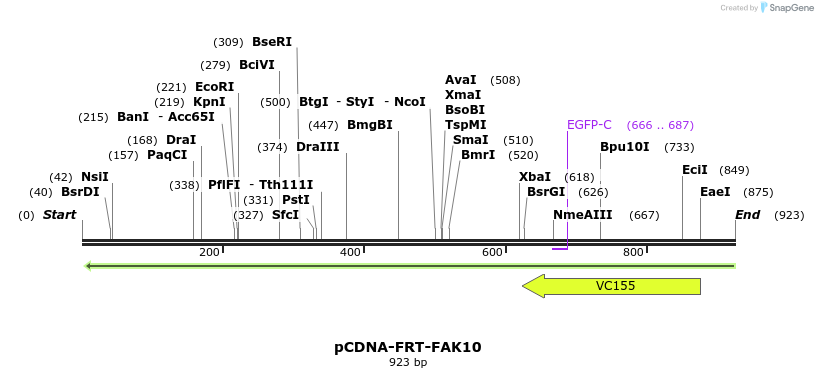 94424_map