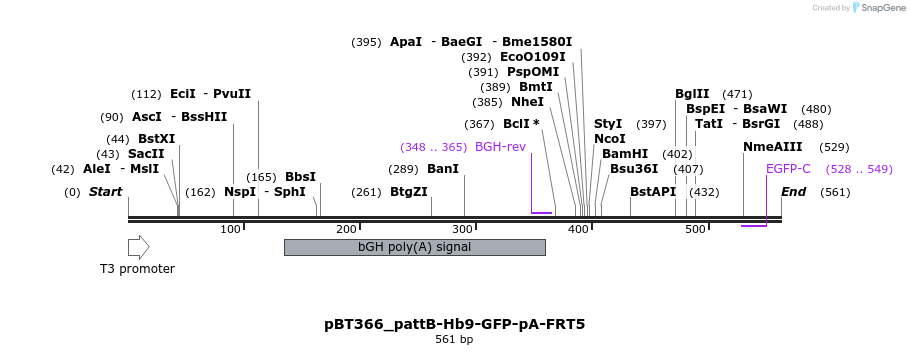 94425_map