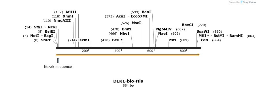 94427_map