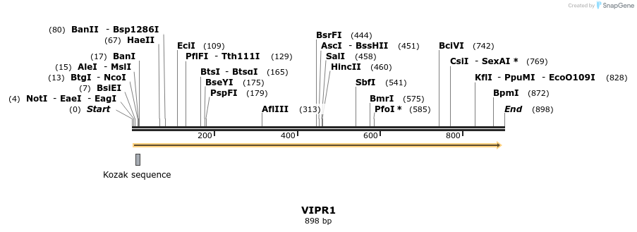 94429_map